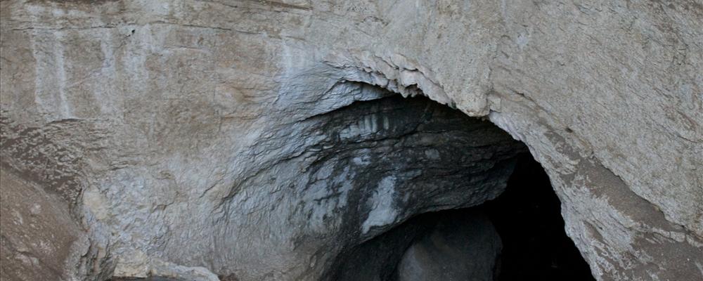 the mouth of the cave